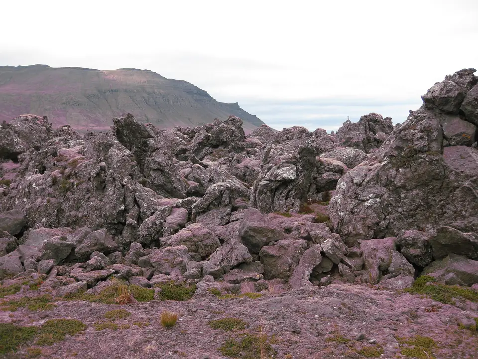 Le champ de lave tourmenté de Berserkjahraun, couvert de mousse et de lichens, à Snæfellsnes